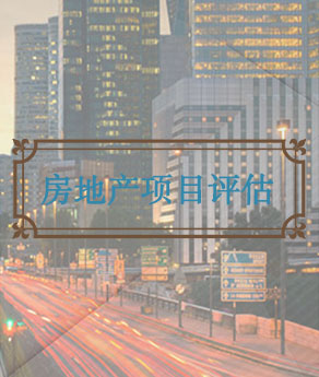 河南房地产项目评估