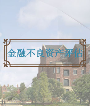 河南金融不良资产评估